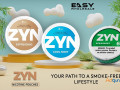 zyn-nicotine-pouches-your-path-to-a-smoke-free-lifestyle-small-0