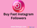 buy-fast-instagram-followers-from-famups-small-0
