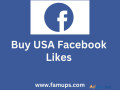 buy-usa-facebook-likes-for-drive-american-engagement-small-0