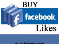 buy-facebook-likes-service-from-famups-small-0