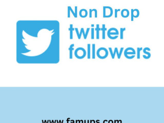 Buy Non Drop Twitter Followers to Grow Your Audience