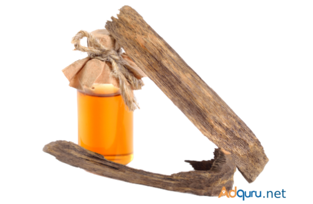 premium-agarwood-essential-oil-buy-wholesale-big-0