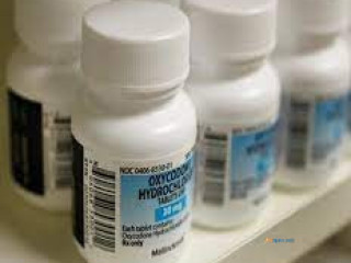 BUY ROXICODONE ONLINE.