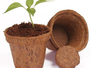 Coco Coir Pots in South Africa